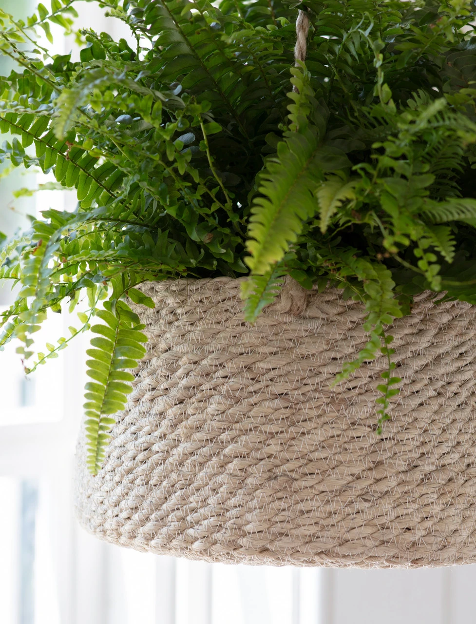 Woven Hanging Plant Pot - Tapered 2 Woven Hanging Plant Pot - Tapered - Image 2