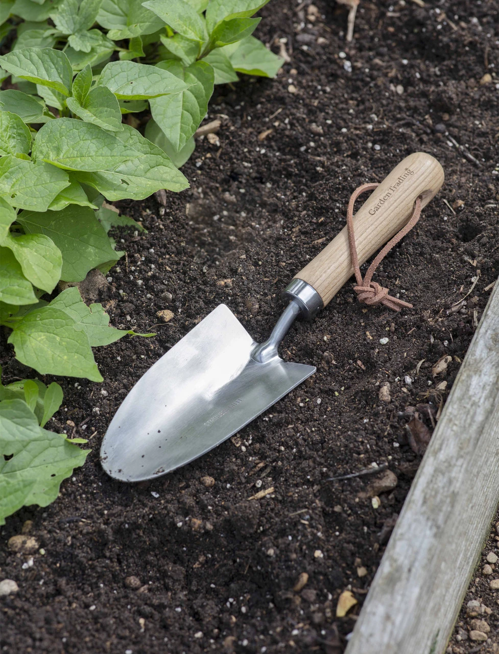 Hawkesbury Hand Trowel 1 Hawkesbury Hand Trowel
