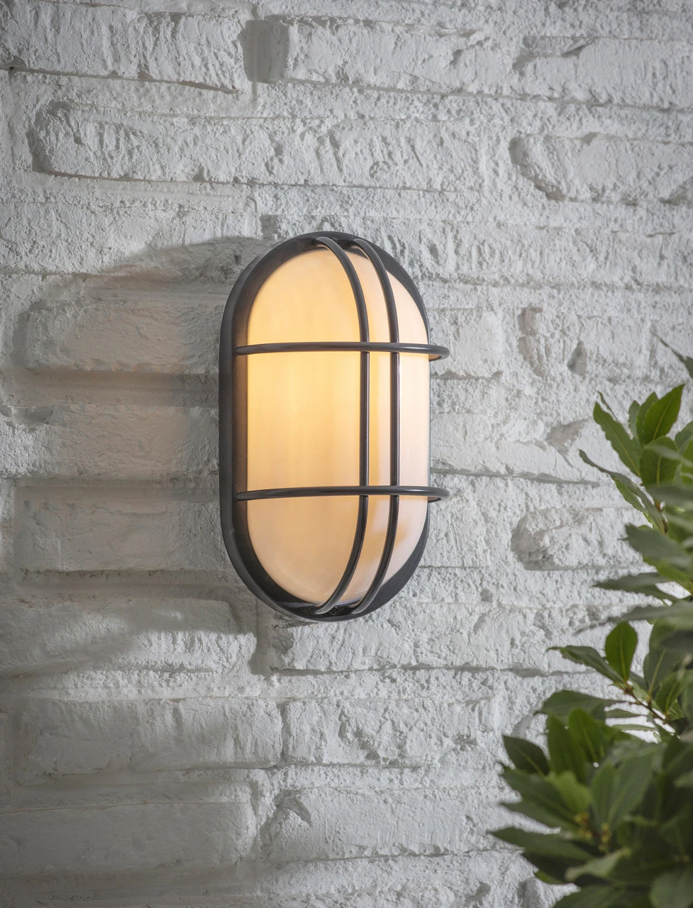 Bulkhead Light - Carbon 1 Bulkhead Light - Carbon