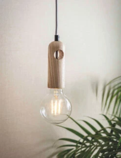Danvers Pendant Light - Ash