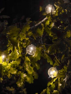 Festoon Golf Ball Lights - Black