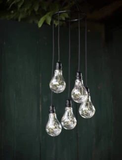 Festoon Cluster Lights
