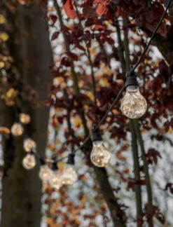 Festoon Classic Extendable Lights