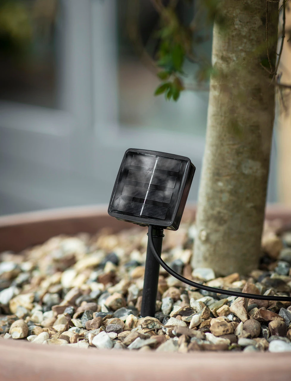 Solar Festoon Linear Lights - Black - 10 Bulbs 2 Solar Festoon Linear Lights - Black - 10 Bulbs - Image 2