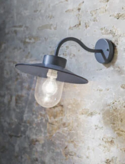St Ives Swan Neck Light - Charcoal