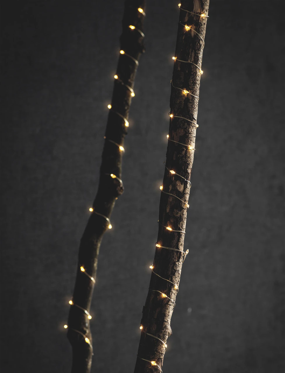 10 Metre Outdoor Wire Lights 1 10 Metre Outdoor Wire Lights