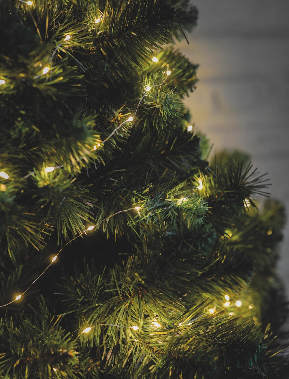 20 Metre Outdoor Wire Lights 1 20 Metre Outdoor Wire Lights