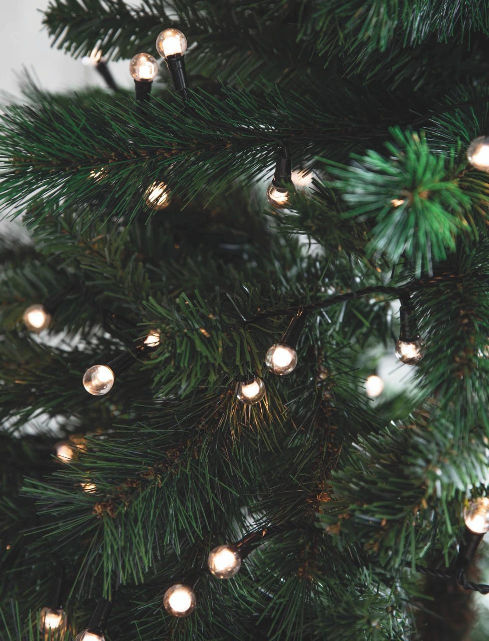 Berry Lights - 15m 1 Berry Lights - 15m