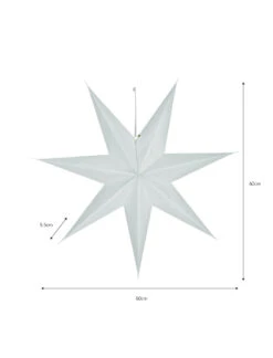 Maddox Star - Large - Flint -Garden Trading Store MSFL03 portrait 9 75928.1664880892