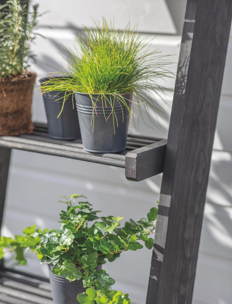 Moreton Slatted Shelf Ladder 2 Moreton Slatted Shelf Ladder - Image 2