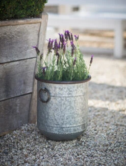 Malmesbury Planter - 33cm