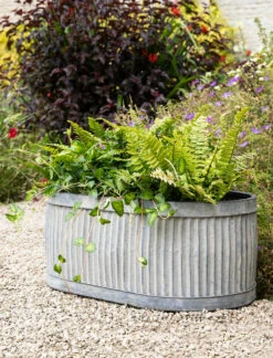 Vence Oval Trough - 52.5cm