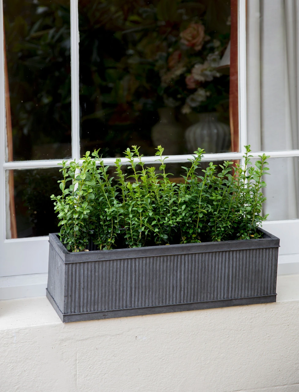 Vence Window Box - 60cm 2 Vence Window Box - 60cm - Image 2