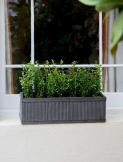 Vence Window Box - 60cm 7 Vence Window Box - 60cm -Garden Trading Store PLRI04 portrait 2 75164.1638477662