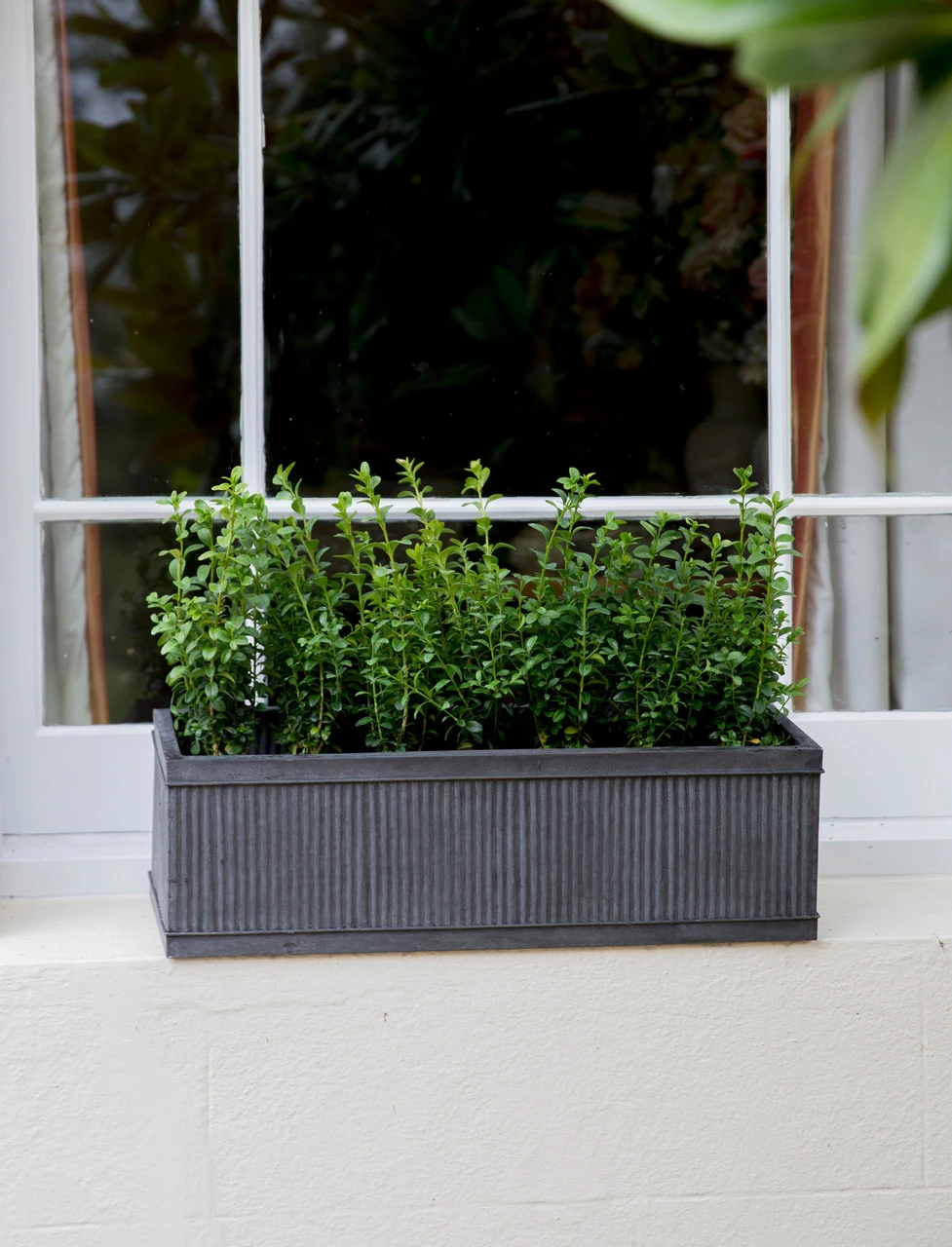 Vence Window Box - 60cm 3 Vence Window Box - 60cm - Image 3