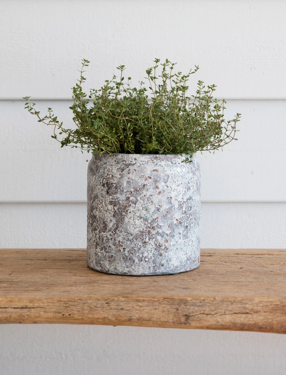 Withington Pot - 15.5cm 1 Withington Pot - 15.5cm