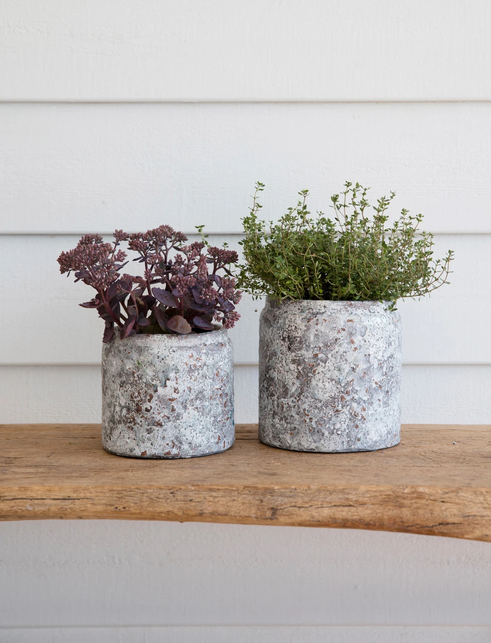 Withington Pot - 15.5cm 2 Withington Pot - 15.5cm - Image 2