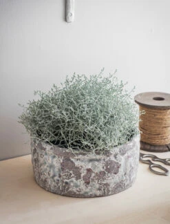 Withington Bowl - 24.5cm