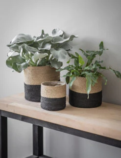Set Of 3 Striped Pots