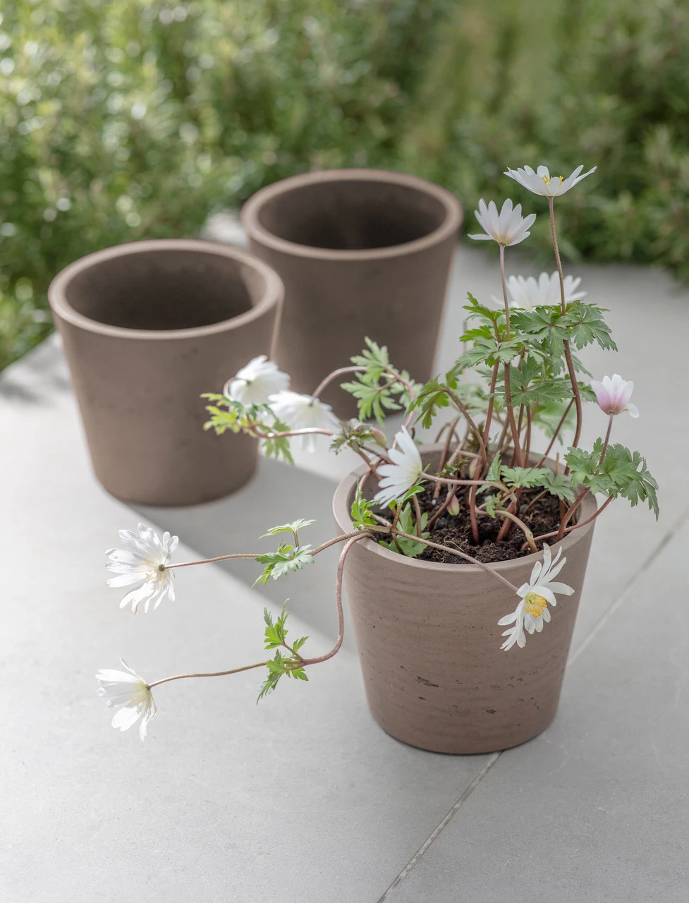 Set Of 3 Stratton Pots - Warm Stone 1 Set Of 3 Stratton Pots - Warm Stone