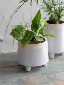 Sherston Pot - Short - 16cm