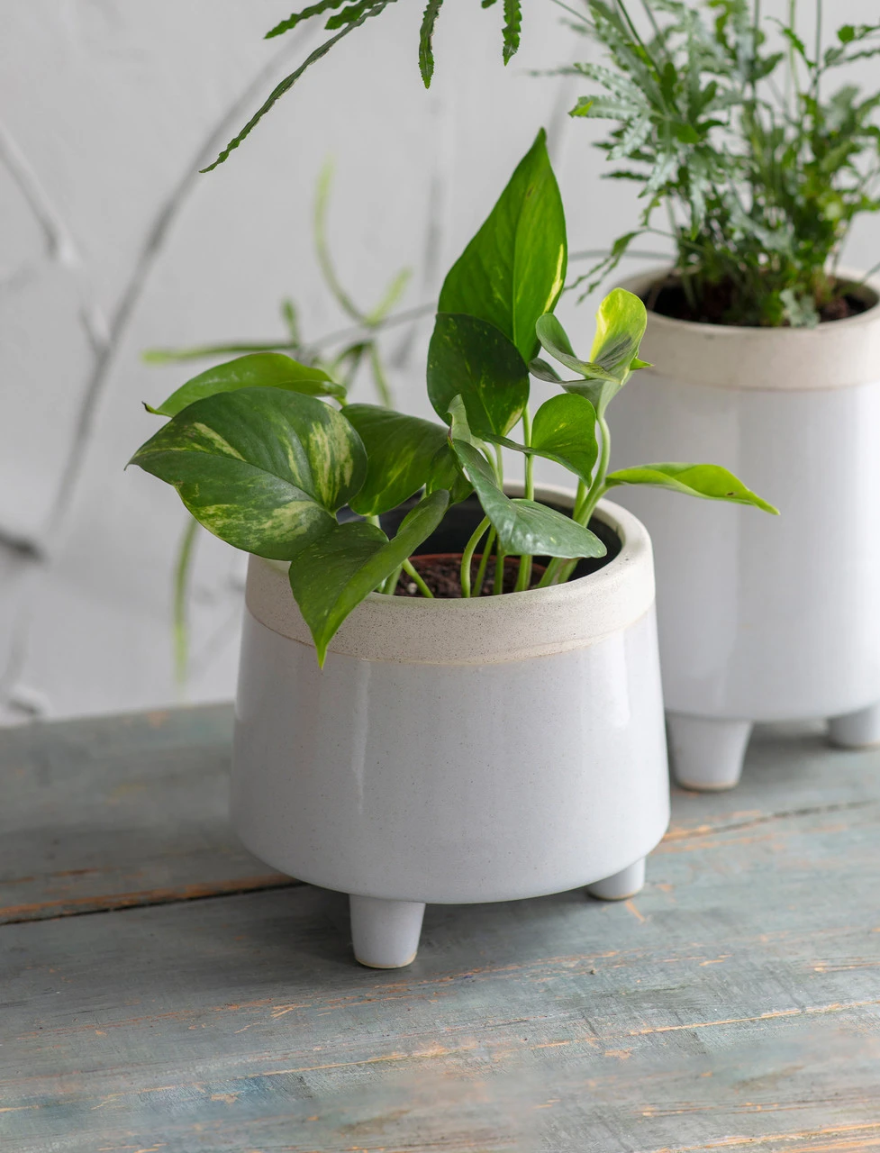 Sherston Pot - Short - 16cm 1 Sherston Pot - Short - 16cm