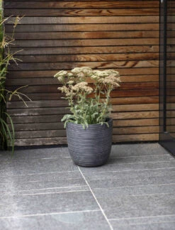 Rodborough Planter - 28cm