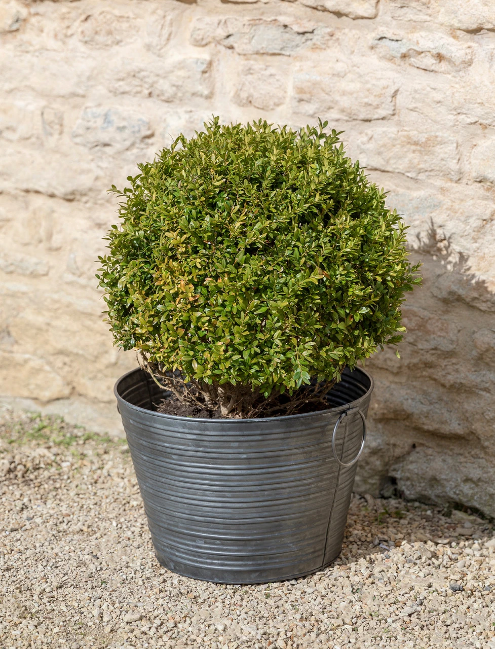 Buscot Planter - 54cm 1 Buscot Planter - 54cm