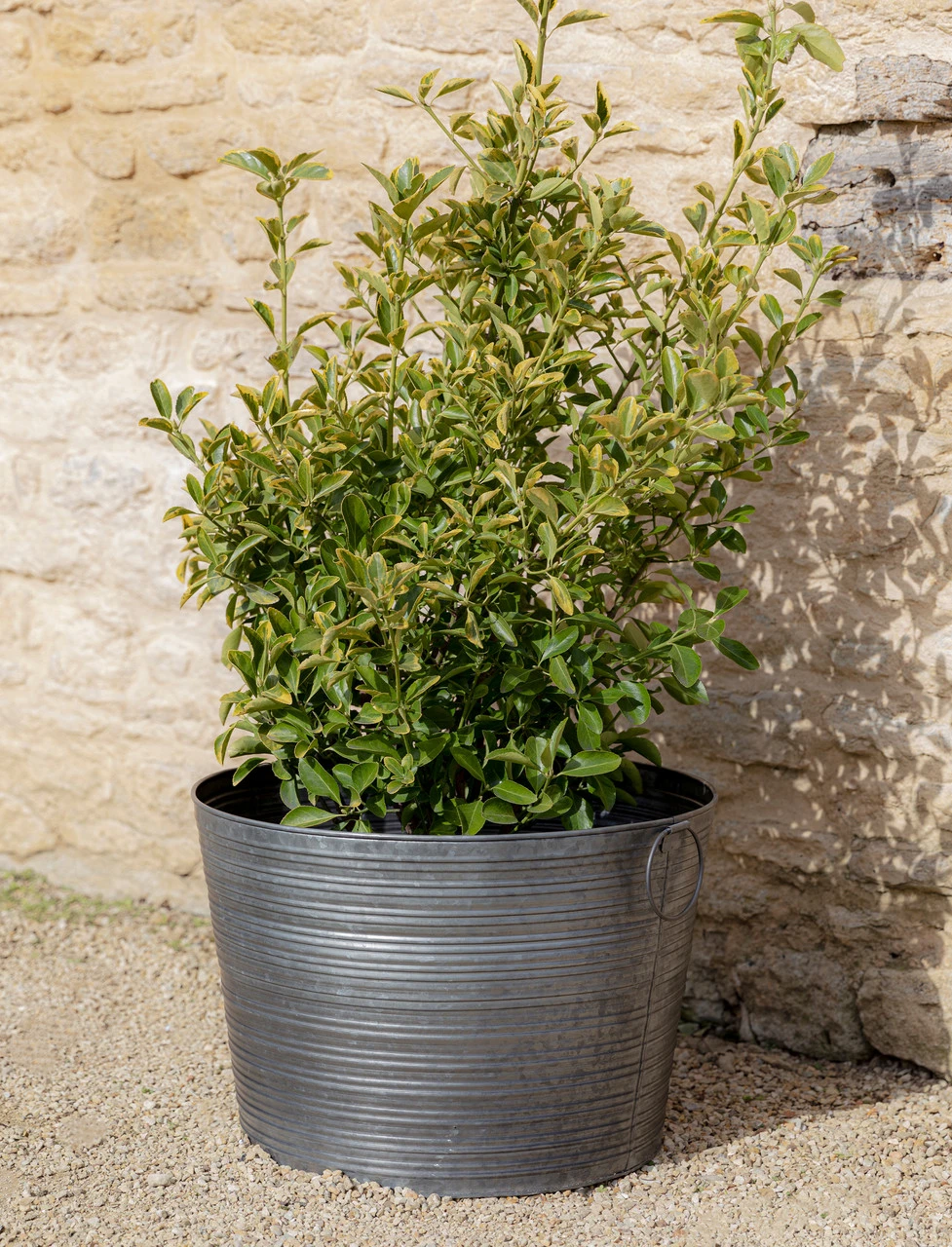 Buscot Planter - 39cm 3 Buscot Planter - 39cm - Image 3