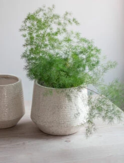 Ravello Ridged Pot - 25cm