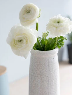 Ravello Bottle Vase - White -Garden Trading Store RVCE03 portrait 2 51582.1691504636