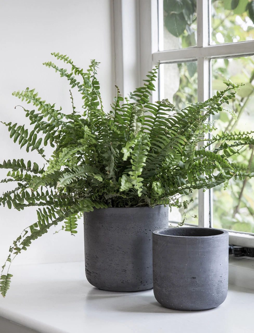 Set Of 2 Stratton Straight Pots - Carbon 1 Set Of 2 Stratton Straight Pots - Carbon