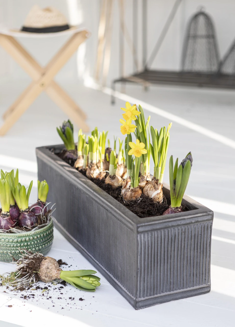 Bathford Trough - 60cm 1 Bathford Trough - 60cm