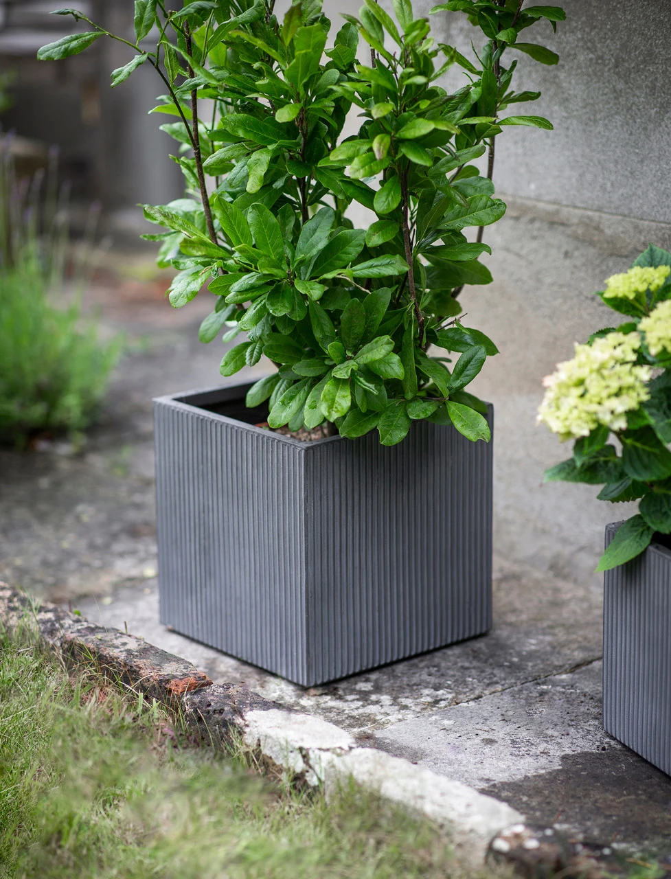 Set Of 3 Siddington Planters 2 Set Of 3 Siddington Planters - Image 2