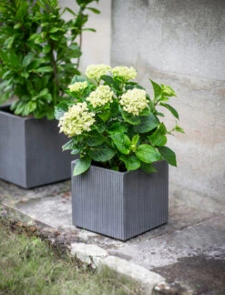 Set Of 3 Siddington Planters 8 Set Of 3 Siddington Planters -Garden Trading Store STPL01 portrait 03 41493.1658476802