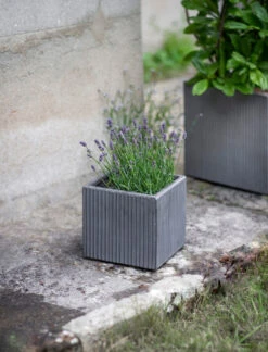 Set Of 3 Siddington Planters 9 Set Of 3 Siddington Planters -Garden Trading Store STPL01 portrait 04 07145.1658476803