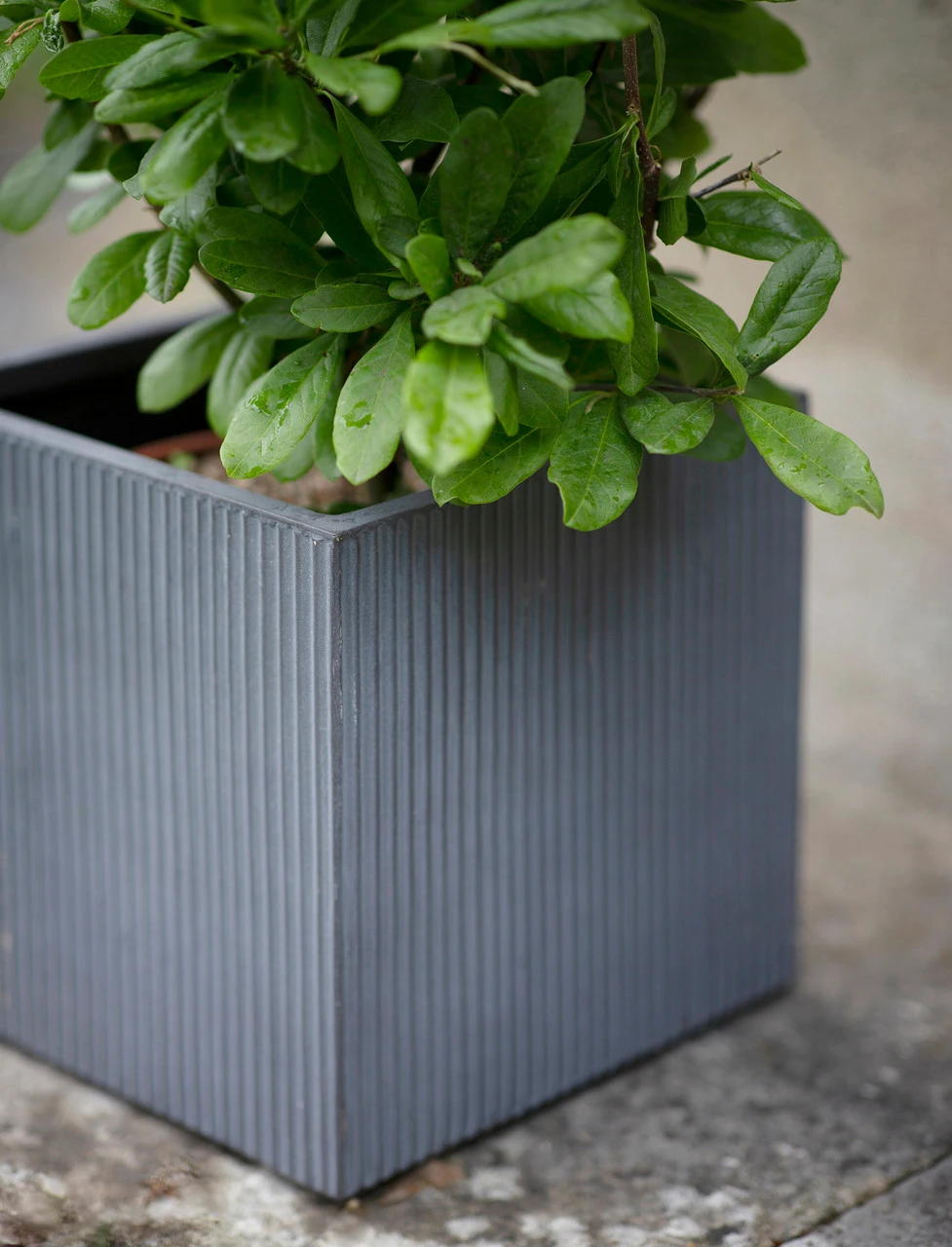 Set Of 3 Siddington Planters 5 Set Of 3 Siddington Planters - Image 5