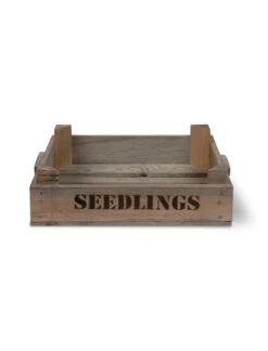 Seedlings Tray 10 Seedlings Tray -Garden Trading Store STWO01 portrait 8 48402.1656664332