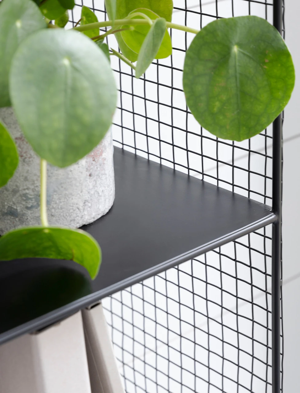 Hornton Storage Unit - Tall 2 Hornton Storage Unit - Tall - Image 2