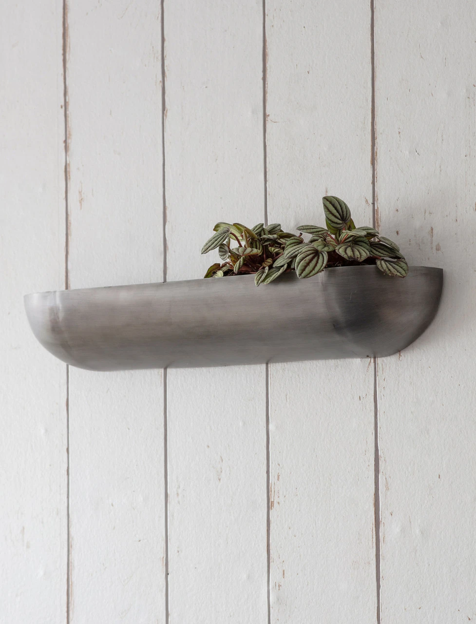 Wall Trough Planter - Large 1 Wall Trough Planter - Large