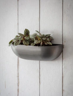 Wall Trough Planter - Small