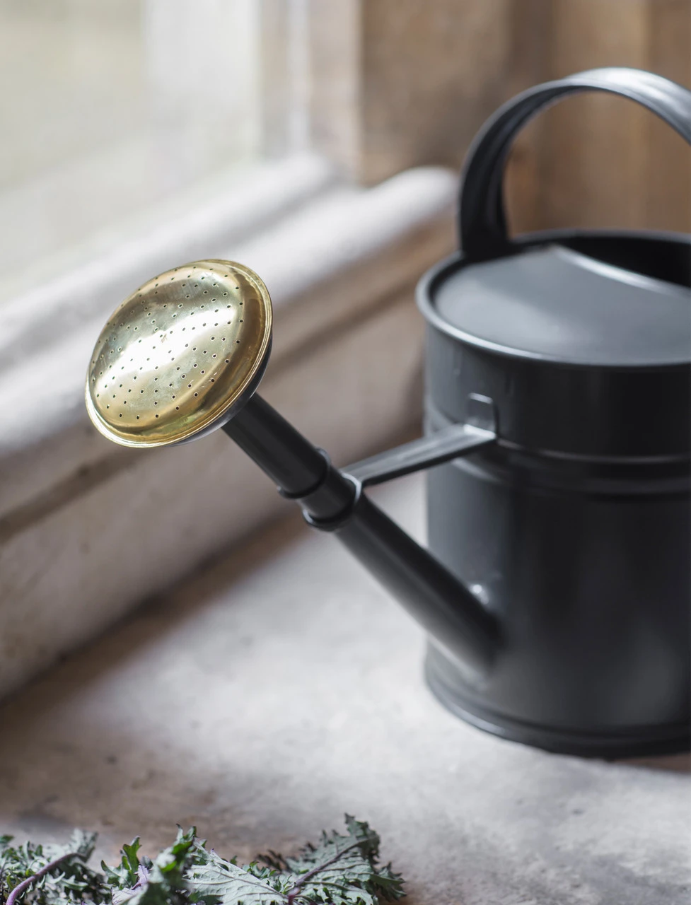 5L Watering Can - 5L 2 5L Watering Can - 5L - Image 2