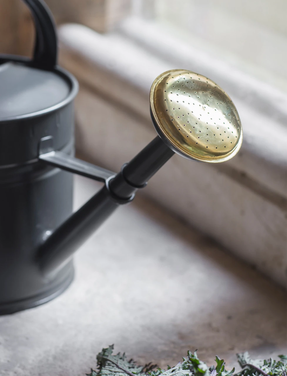 10L Watering Can - 10L 2 10L Watering Can - 10L - Image 2