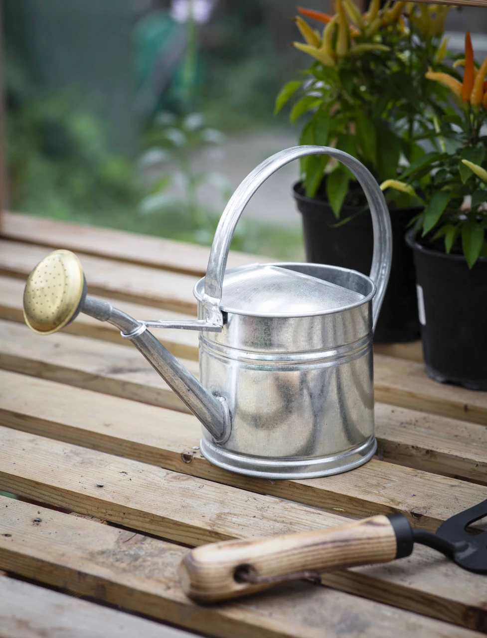 Galvanised Watering Can - 1.5L 1 Galvanised Watering Can - 1.5L
