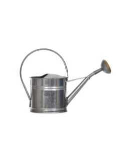 Galvanised Watering Can - 1.5L 6 Galvanised Watering Can - 1.5L -Garden Trading Store WCGS01 portrait 8 55485.1638486670