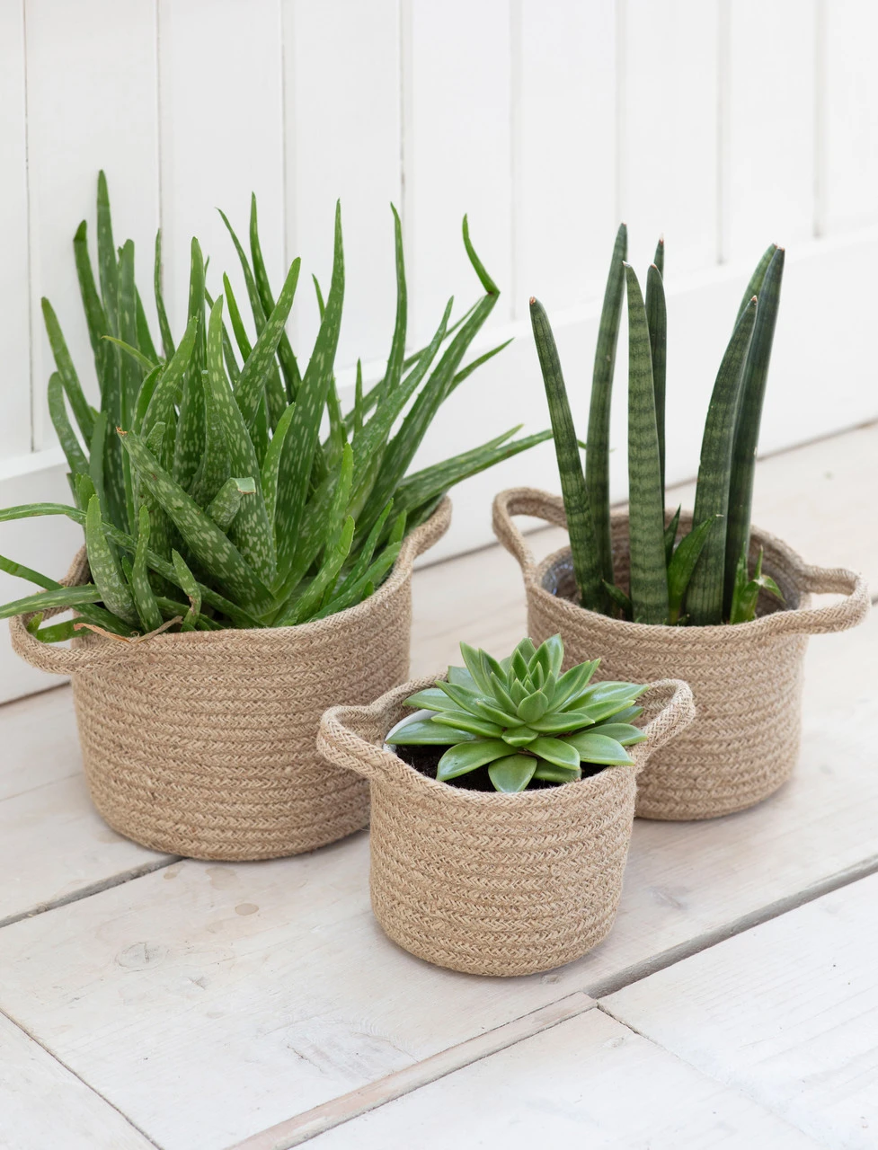 Set Of 3 Woven Plant Pots 1 Set Of 3 Woven Plant Pots