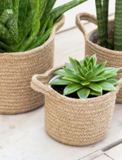 Set Of 3 Woven Plant Pots 5 Set Of 3 Woven Plant Pots -Garden Trading Store WPJU01 portrait 2 66375.1638487821
