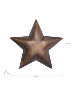 Wall Star - Small -Garden Trading Store WSAB01 portrait 9 74718.1638490248
