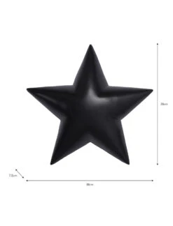 Wall Star - Large -Garden Trading Store WSBL01 portrait 9 95961.1638490259