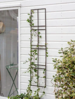 Charlbury Wall Trellis - 30cm